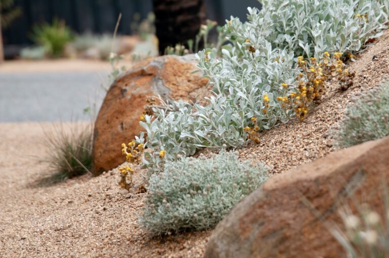 Growing Together: A Conversation With Biodiverse Garden Design
